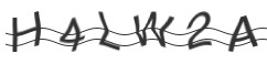 raptcha.png