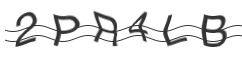 raptcha.png